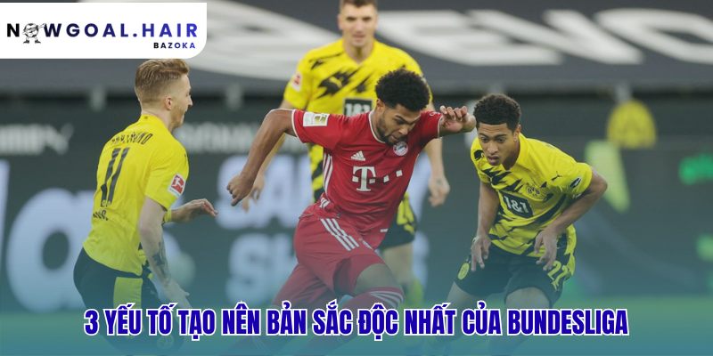 Bundesliga là gì? điểm khác biệt khiến giải đấu này đặc biệt ở 3 yếu tố