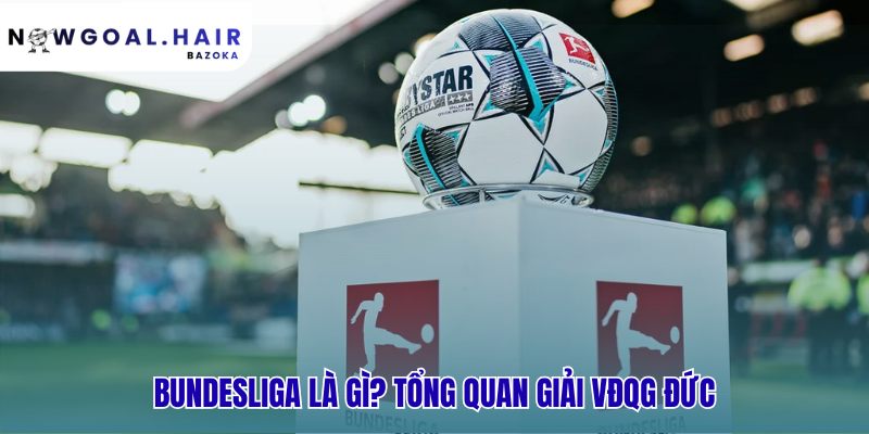 Tổng quan giải đấu gồm lịch sử và cấu trúc 18 đội đặc trưng